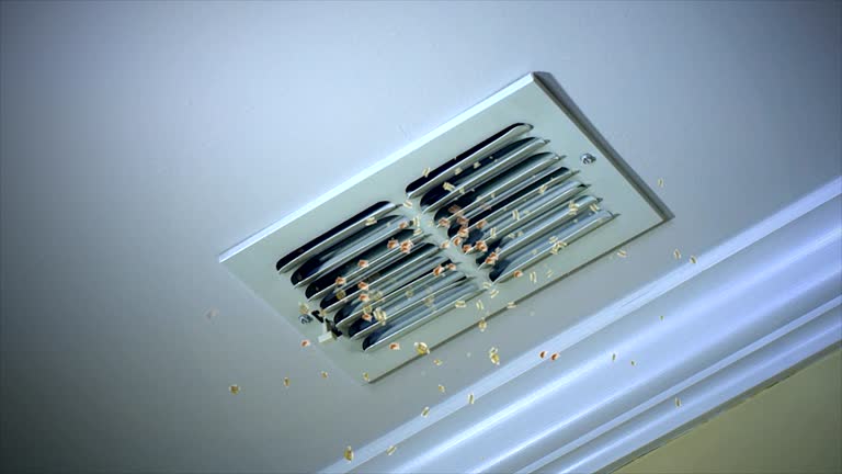Best Best Air Duct Cleaning Company  in Galeville, NY