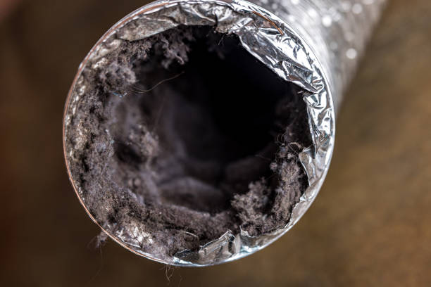 Best Air Duct Cleaning Company Near Me  in Galeville, NY