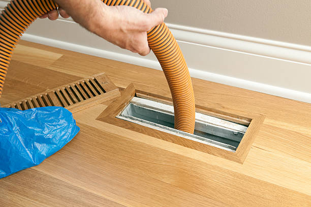 Best Local Air Duct Cleaning Services  in Galeville, NY